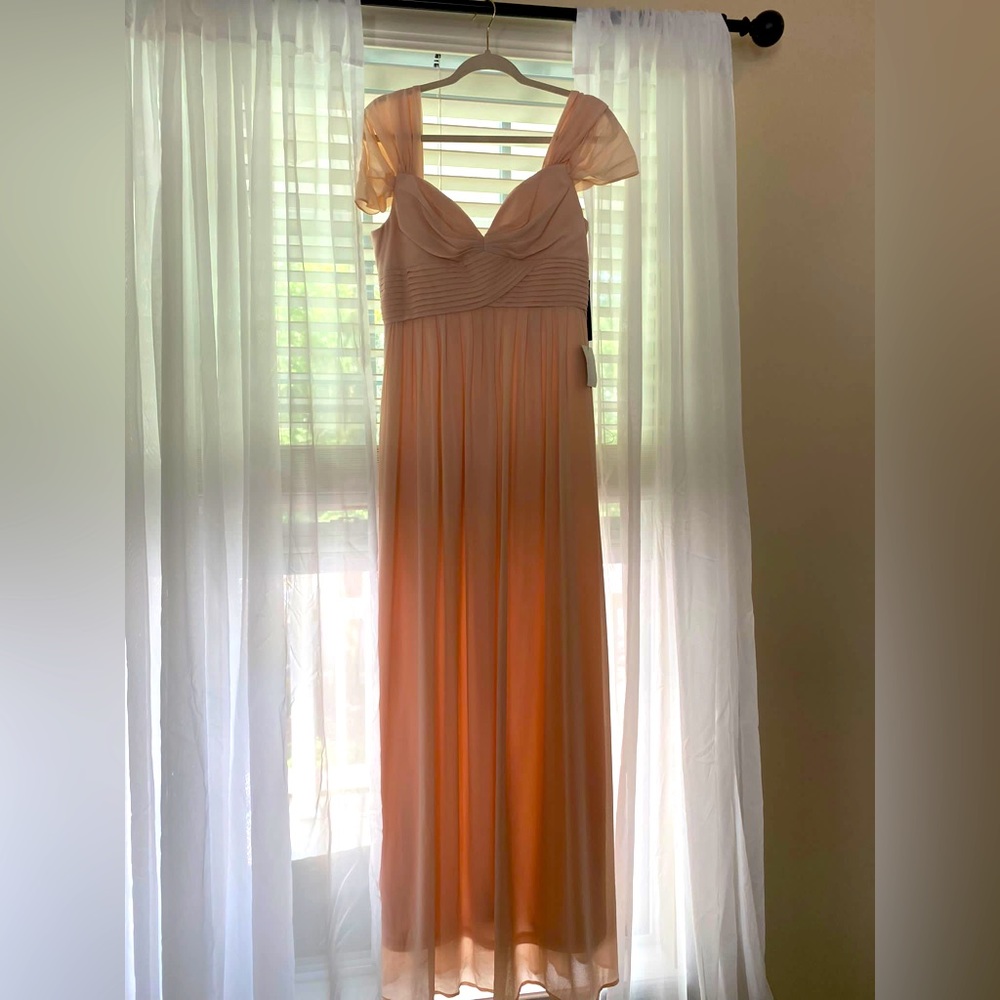 Beautiful Blush Gown